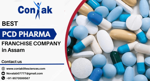 PCD Pharma Franchise Company in Assam