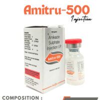 Amikacin 500mg inj