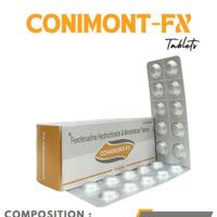 Montelukast 10mg+Fexofenadine 120mg tab