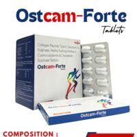 Collagen Peptide Type II 50 mg, Glucosamine sulphate 750 mg, MSM 250 mg , Methylcobalamin 500 mcg, chondroitin sulphate 100 mg Tablet