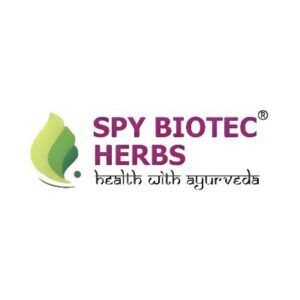 Spy Logo